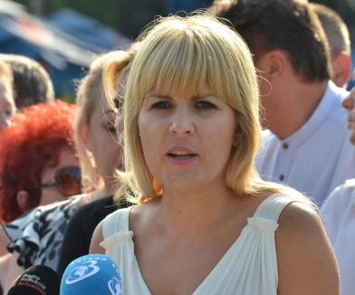 Comisia Juridică a aprobat începerea urmăririi penale pentru Elena Udrea